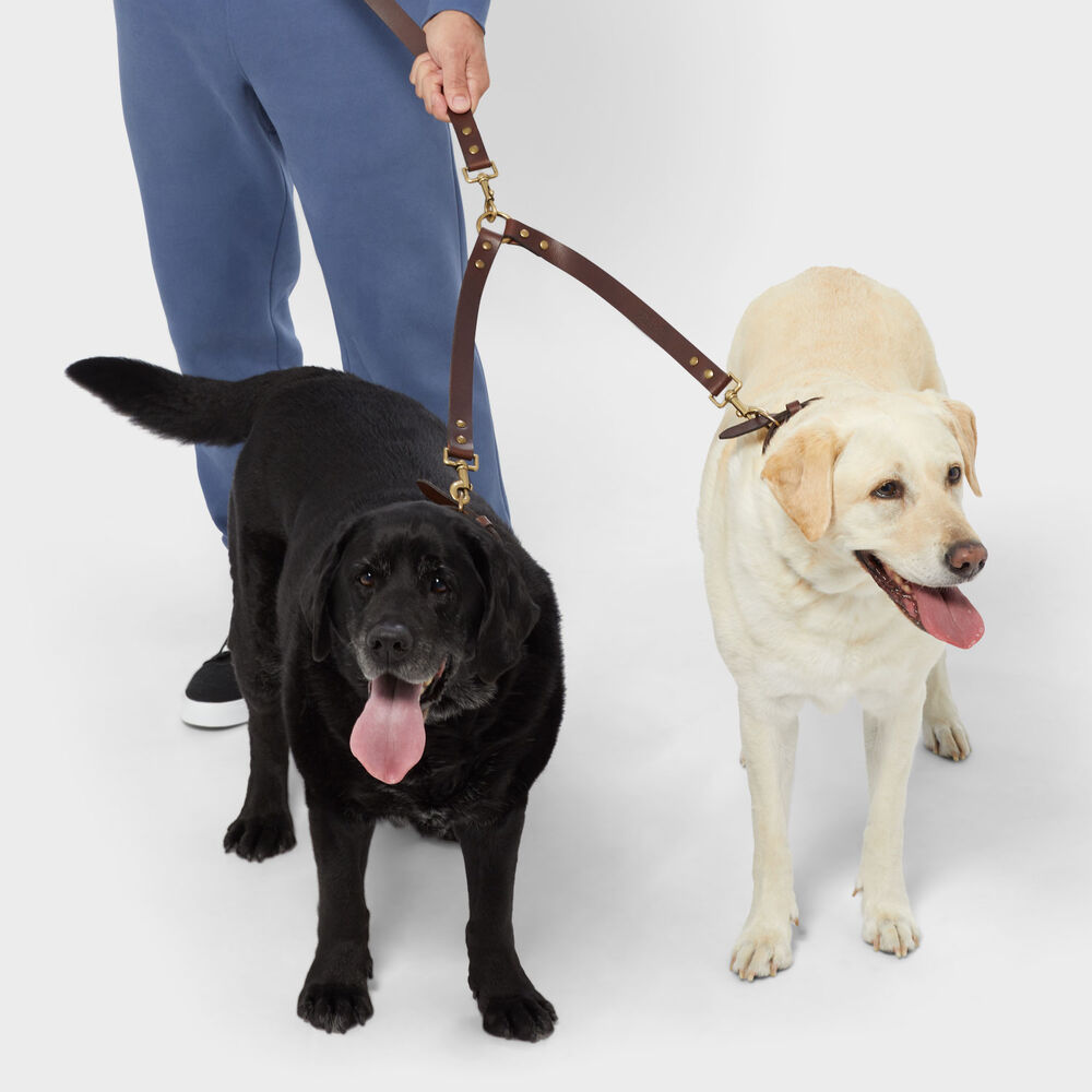 Buffalo Hide 2-Dog Leash Splitter Main Image