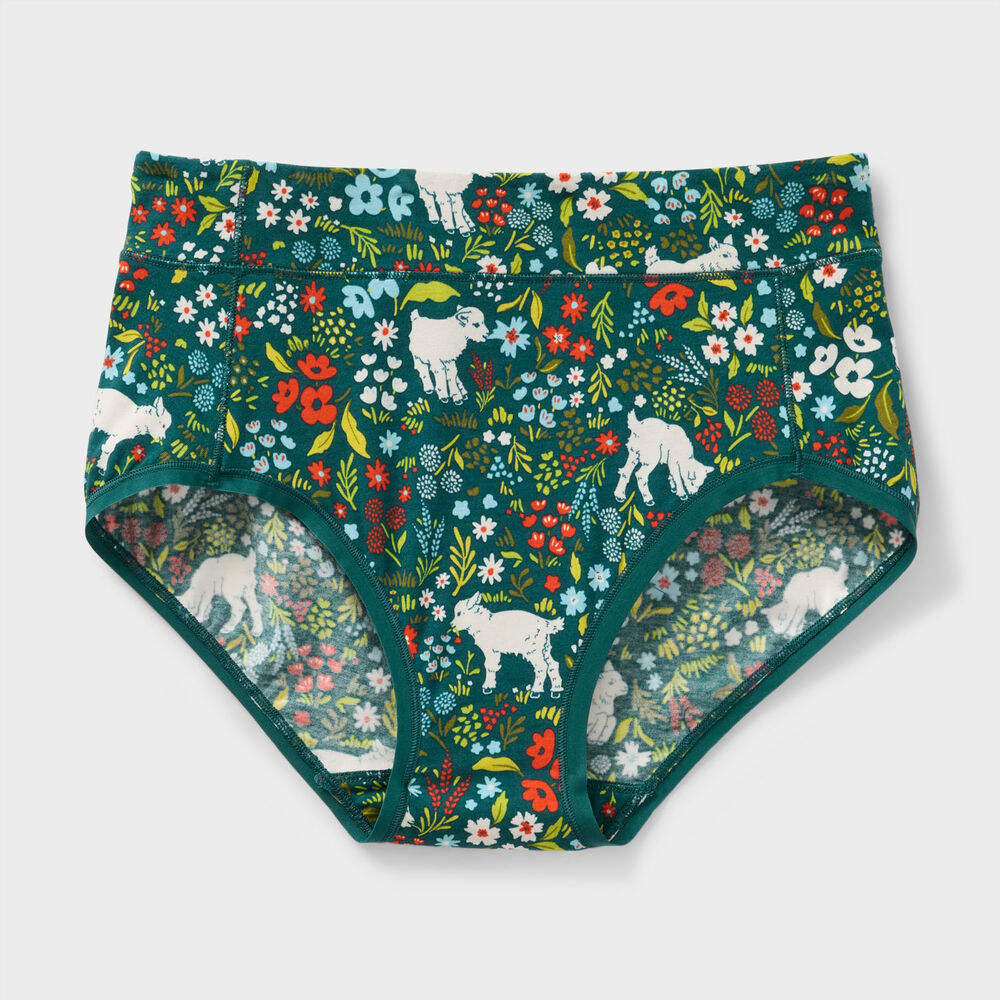 Women's Free Range Modern Briefs Main Image