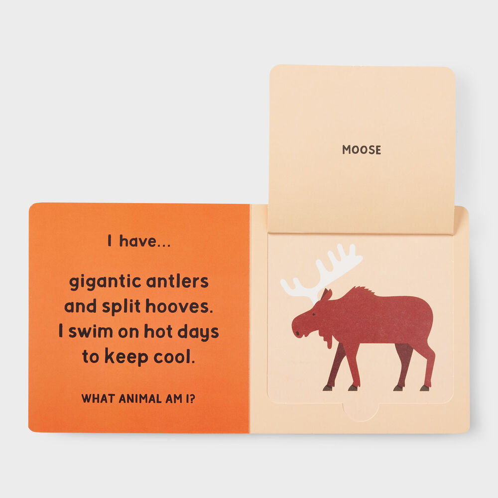 Forest Tracks Main Image