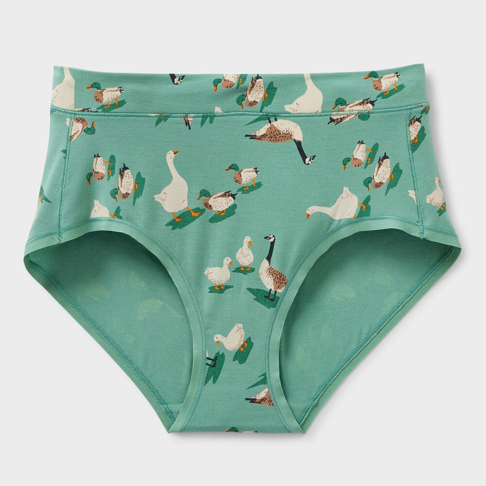 Women's Dang Soft Modern Briefs Main Image