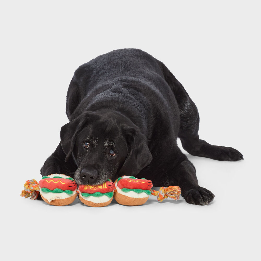Duluth Hot Dog Tug Toy Main Image