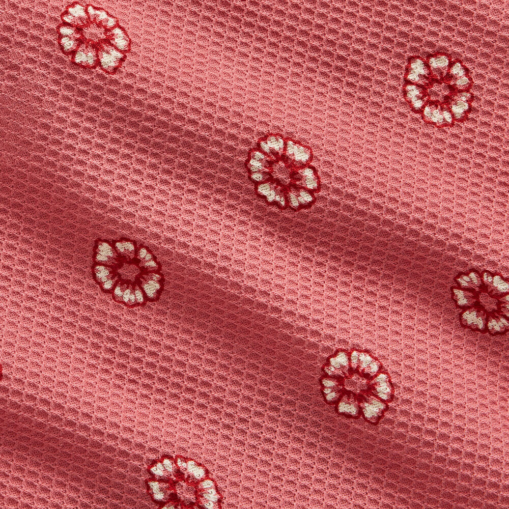 Women's Buck Naked Cotton Modern Briefs Main Image