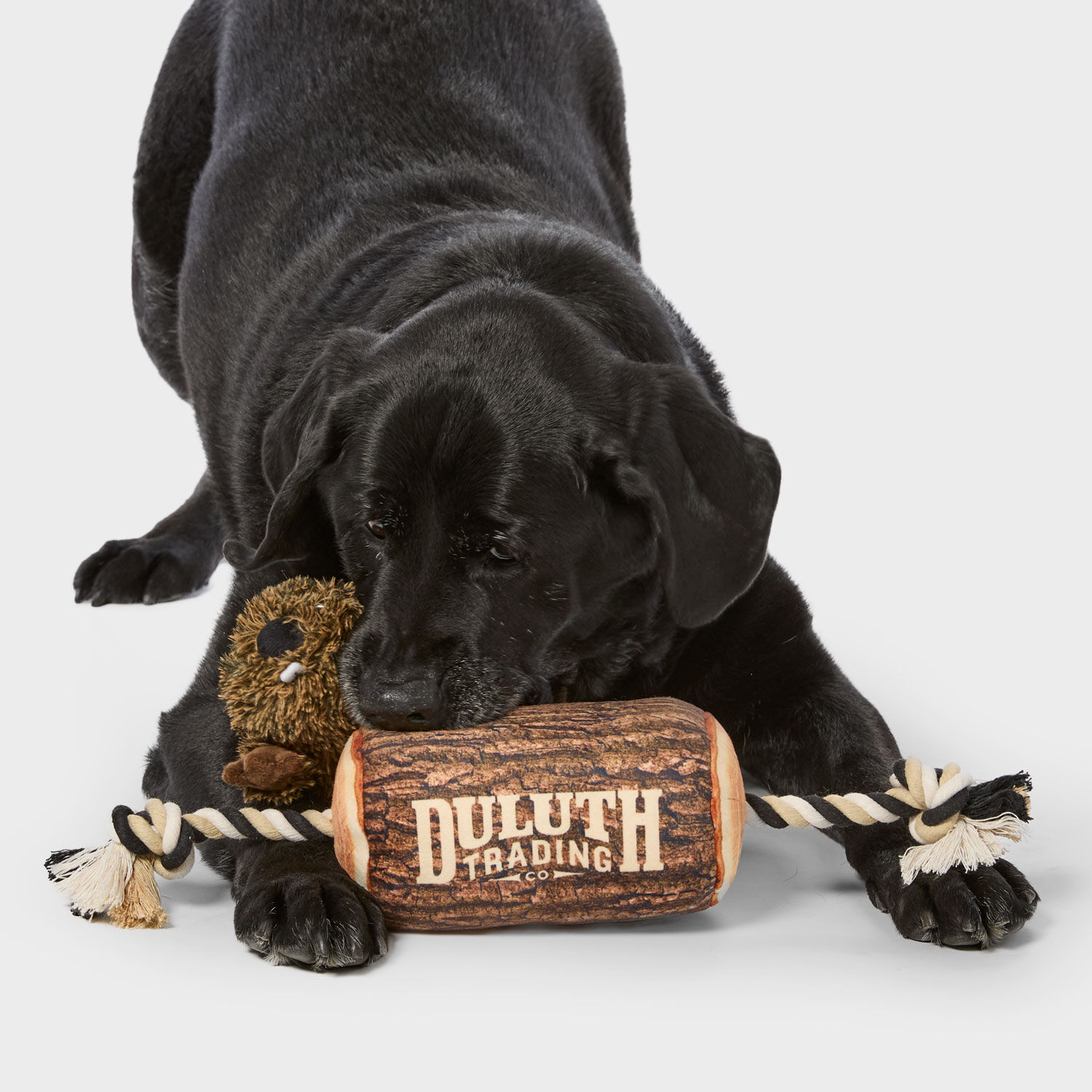 Angry Beaver on a Log 2-in-1 Dog Toy | Duluth Trading Company