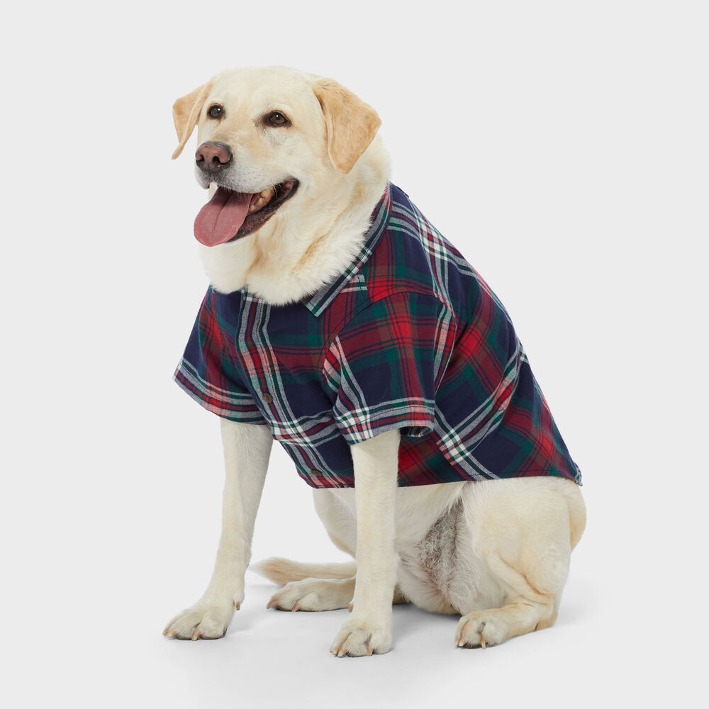 Dog's Free Swingin' Flannel Shirt Main Image