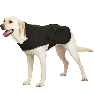 Fire Hose Dog Jacket