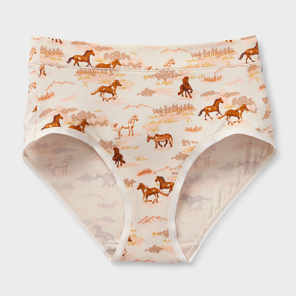 Women's Plus Dang Soft Modern Briefs Main Image