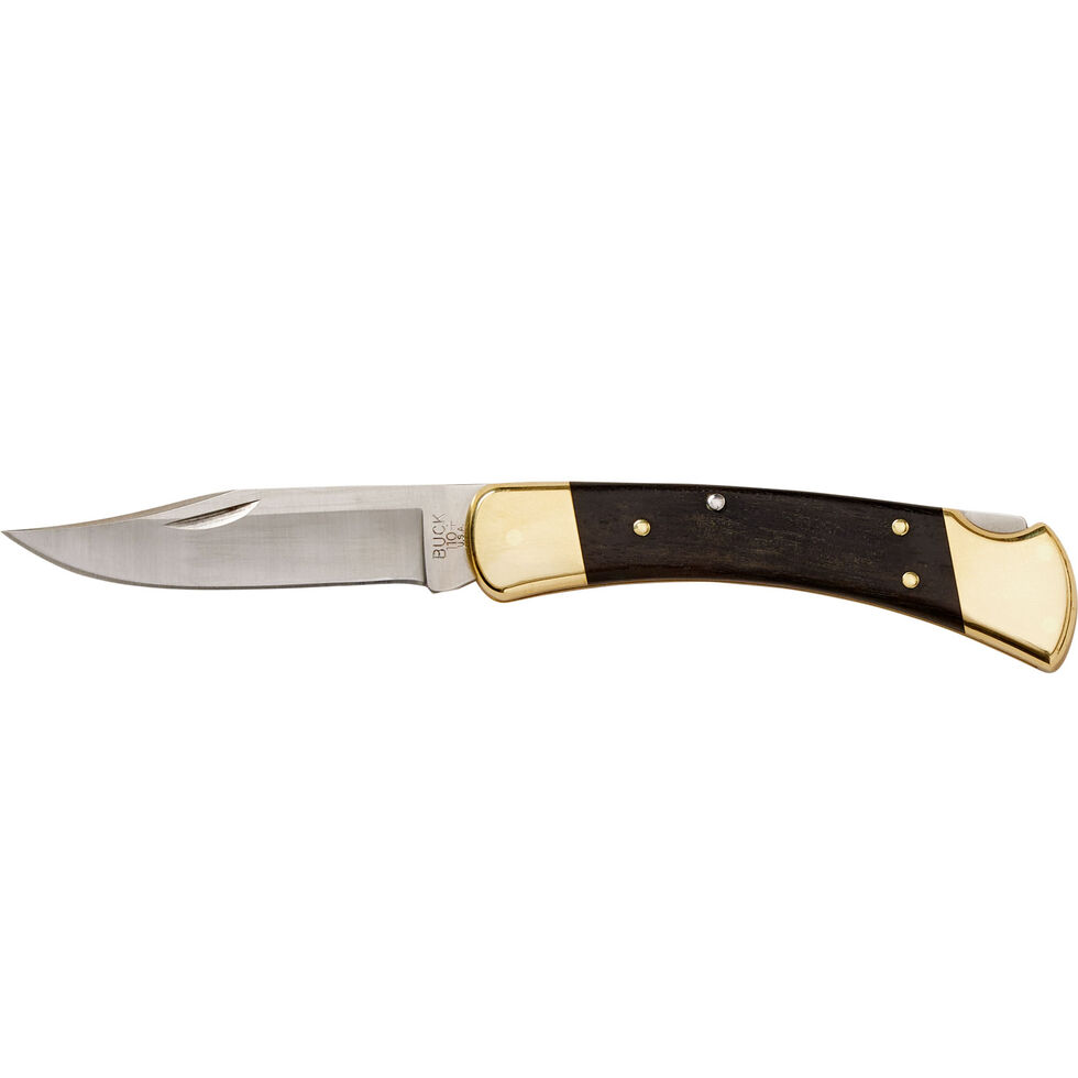 BUCK 110 Folding Hunter Knife ‣ Blade Master