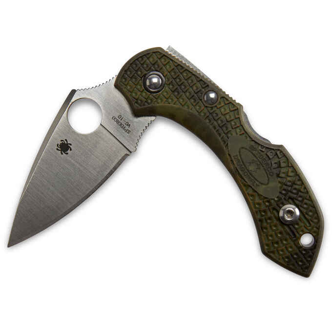 Spyderco Dragonfly 2 FRN Zome Green Knife