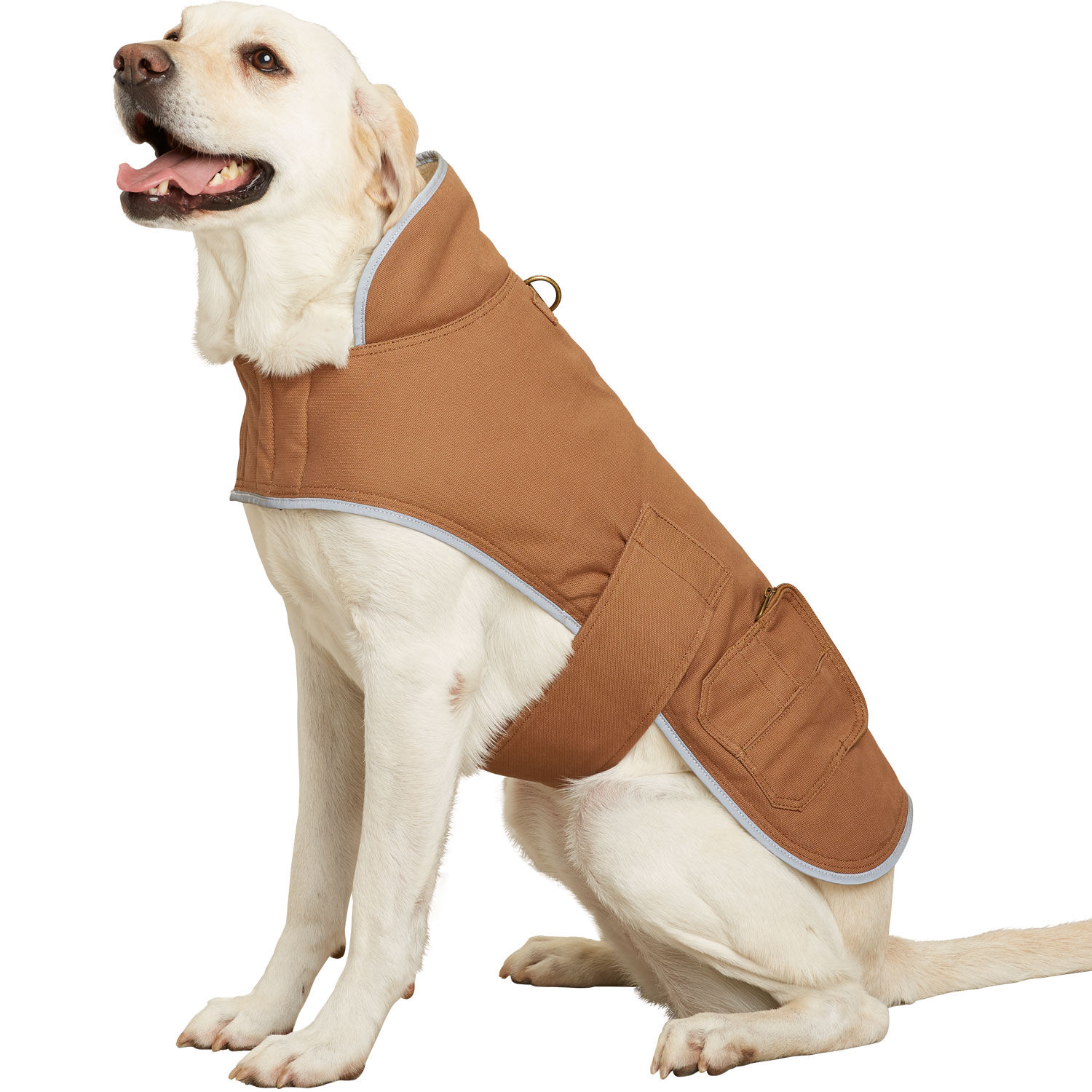 Duluth cheap dog coat