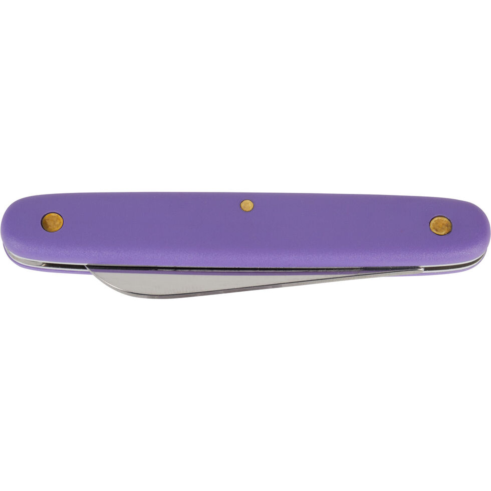 Giacomo Stainless steel Purple knife set 💜 $40