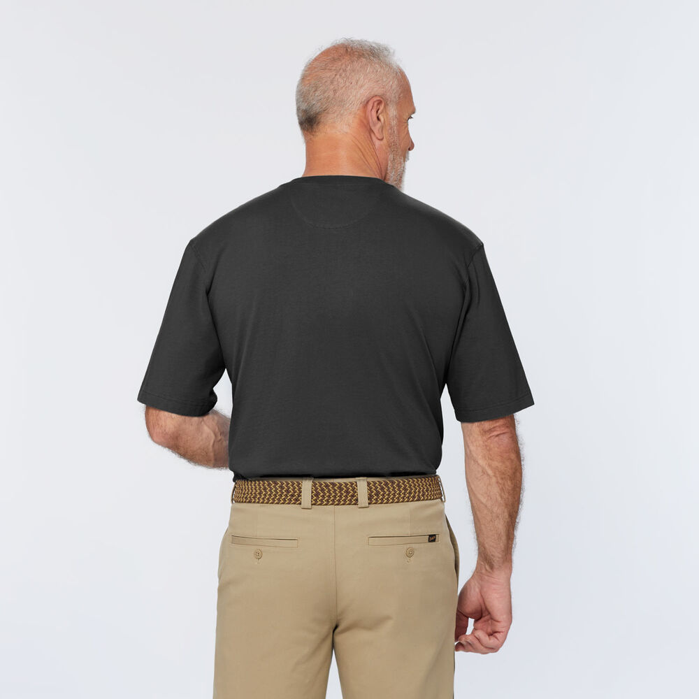 Men's Longtail T Relaxed Fit Short Sleeve Pocket Henley Main Image