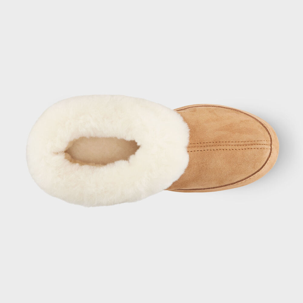 Women's Acorn Genuine Shearling Slippers Main Image