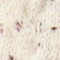 Sea Salt Confetti Donegal