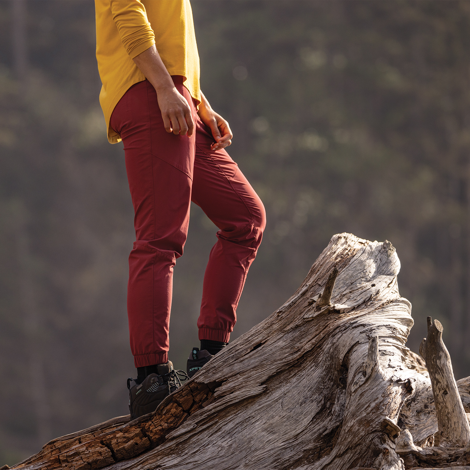 Women's AKHG Roadless Pull-On Joggers - image 4