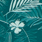 Midnight Green Hawaiin