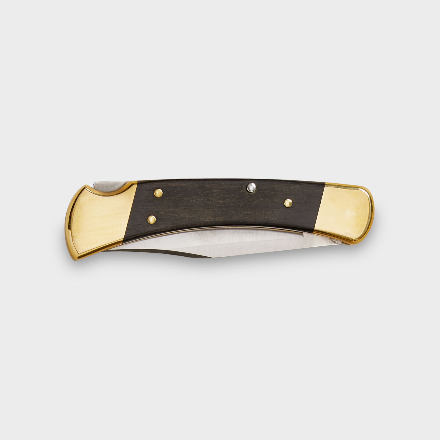 Buck 110 Folder - image 2
