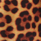 Leopard Print