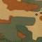Desert Camo