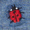 Chambray Embroidered Lady Bug
