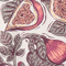 Figs Print